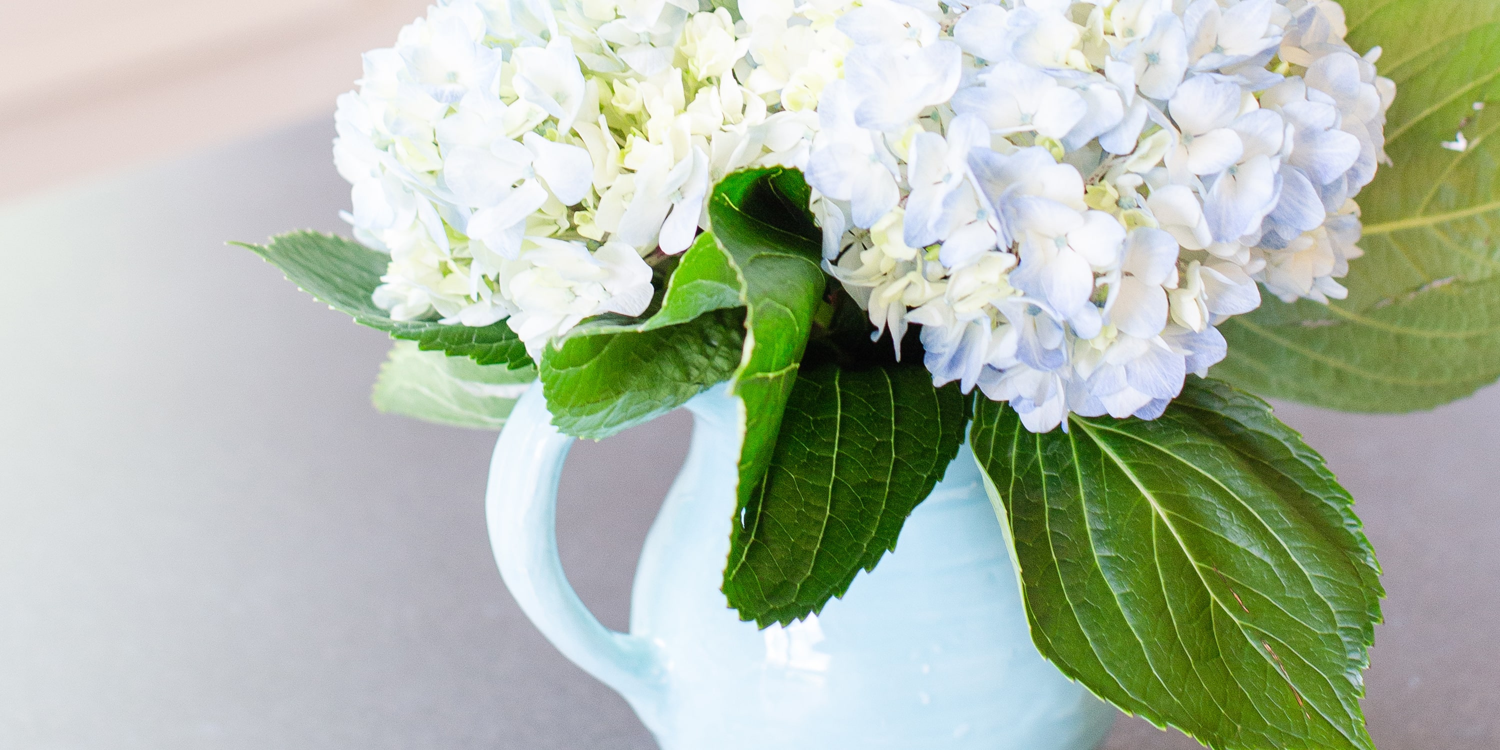 Our Partners Feature Image - Flowers in a jug